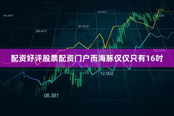 配资好评股票配资门户而海豚仅仅只有16吋