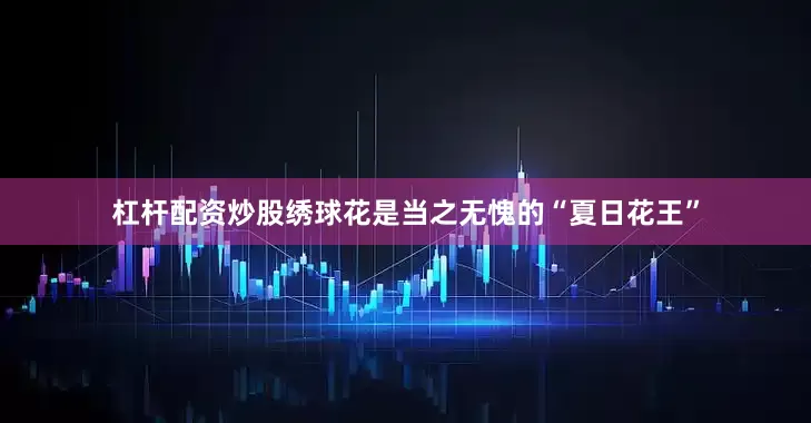 杠杆配资炒股绣球花是当之无愧的“夏日花王”
