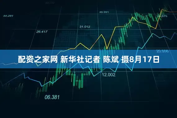 配资之家网 新华社记者 陈斌 摄8月17日