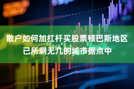 散户如何加杠杆买股票顿巴斯地区已所剩无几的城市据点中